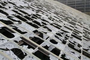 Garfield Park Conservatory's Fern Room roof. Image Credit: Matthew Barrett.