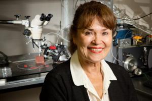 Cell and development biology professor Martha Gillette and her colleagues at Illinois discovered that metabolism influences time-keeping in the brain; Photo by L. Brian Stauffer