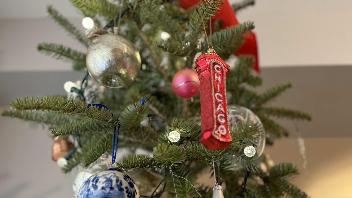 Give real Christmas trees a second life by recycling them. (Patty Wetli / WTTW News)