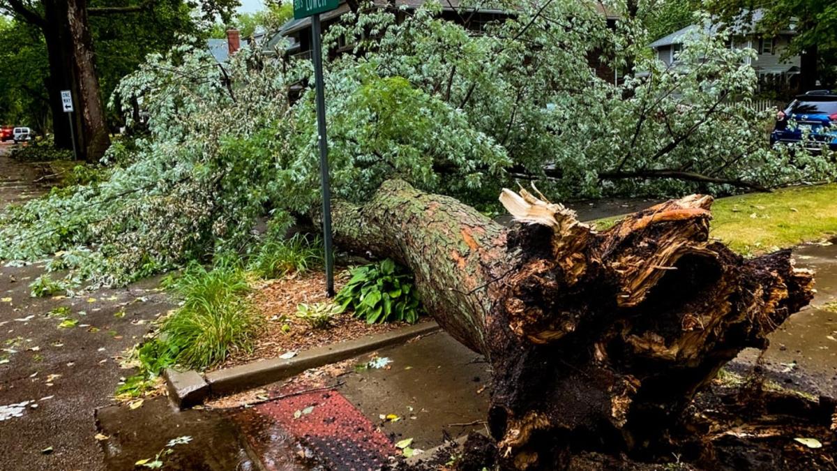 A 2023 storm caused extensive home damage in parts of Springfield, including trees falling on homes. (Jerry Nowicki / Capitol News Illinois)