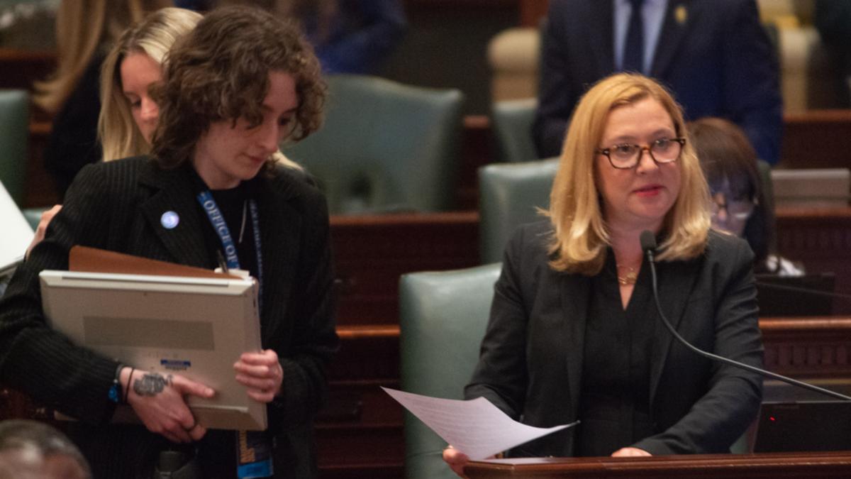 State Rep. Anna Moeller (D-Elgin) presents her Medicaid legislation on the House floor on Saturday, May 31, 2025. (Jerry Nowicki / Capitol News Illinois)