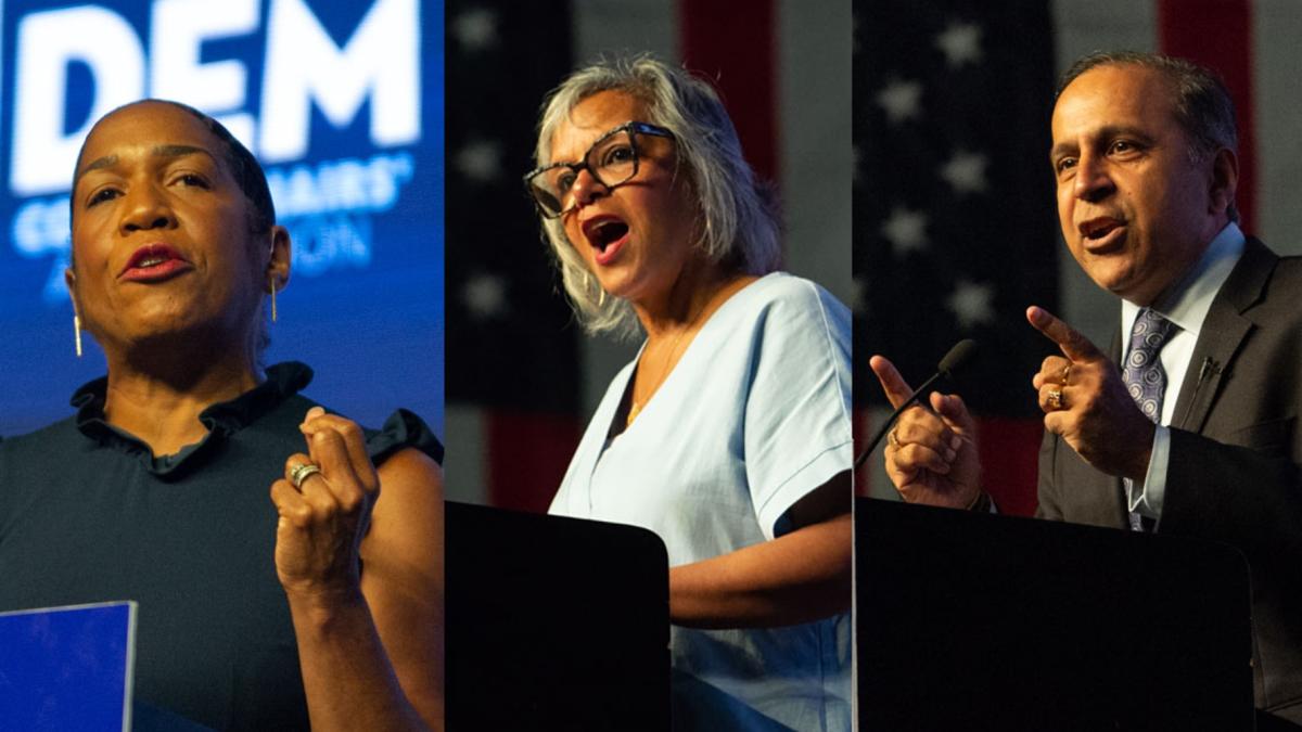 Lt. Gov. Juliana Stratton and U.S. Reps. Robin Kelly and Raja Krishnamoorthi were the fundraising leaders in the Democratic Senate primary, according to quarterly finance reports. (Jerry Nowicki / Capitol News Illinois) 