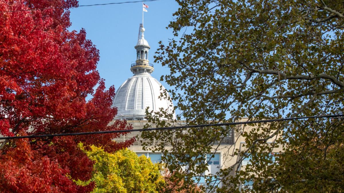 The Illinois Capitol dome is pictured through fall foliage in Springfield on the final day of the legislature’s 2025 veto session. (Jerry Nowicki / Capitol News Illinois)