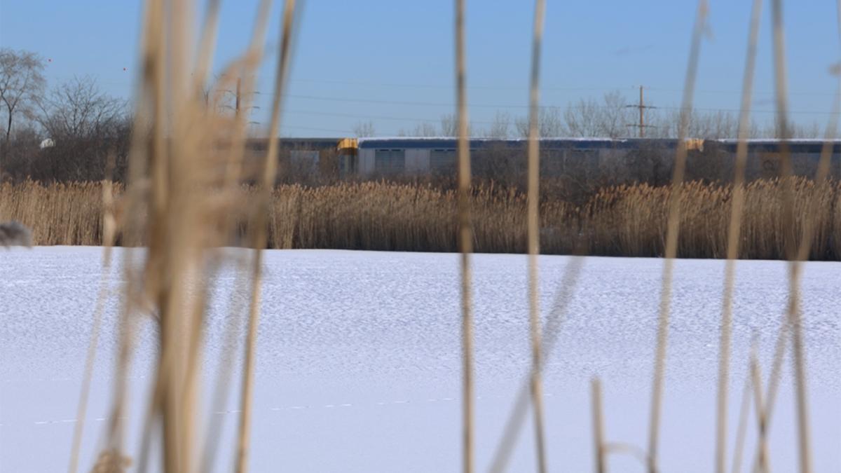 The Big Marsh Park restoration project and other nearby projects in the Calumet region sit on areas formerly used for landfills and for US Steel Works facilities. (Gabriel Castilho / Medill Illinois News Bureau)