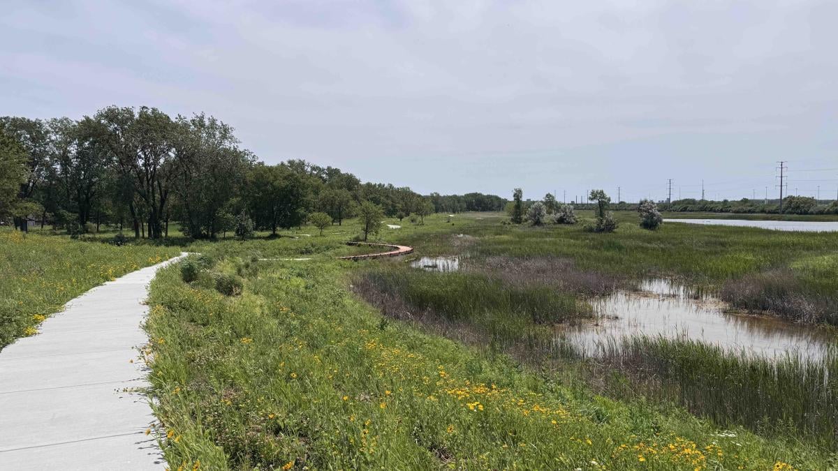 A new overlook gives visitors a panoramic view of Marian Byrnes Park’s 140 acres, a mix of woodland, wetland and slag prairie. (Patty Wetli / WTTW News)