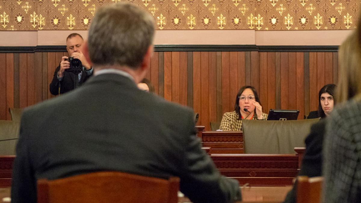 State Sen. Cristina Castro is pictured in a Senate Executive Committee hearing in 2024 in Springfield. (Jerry Nowicki / Capitol News Illinois)