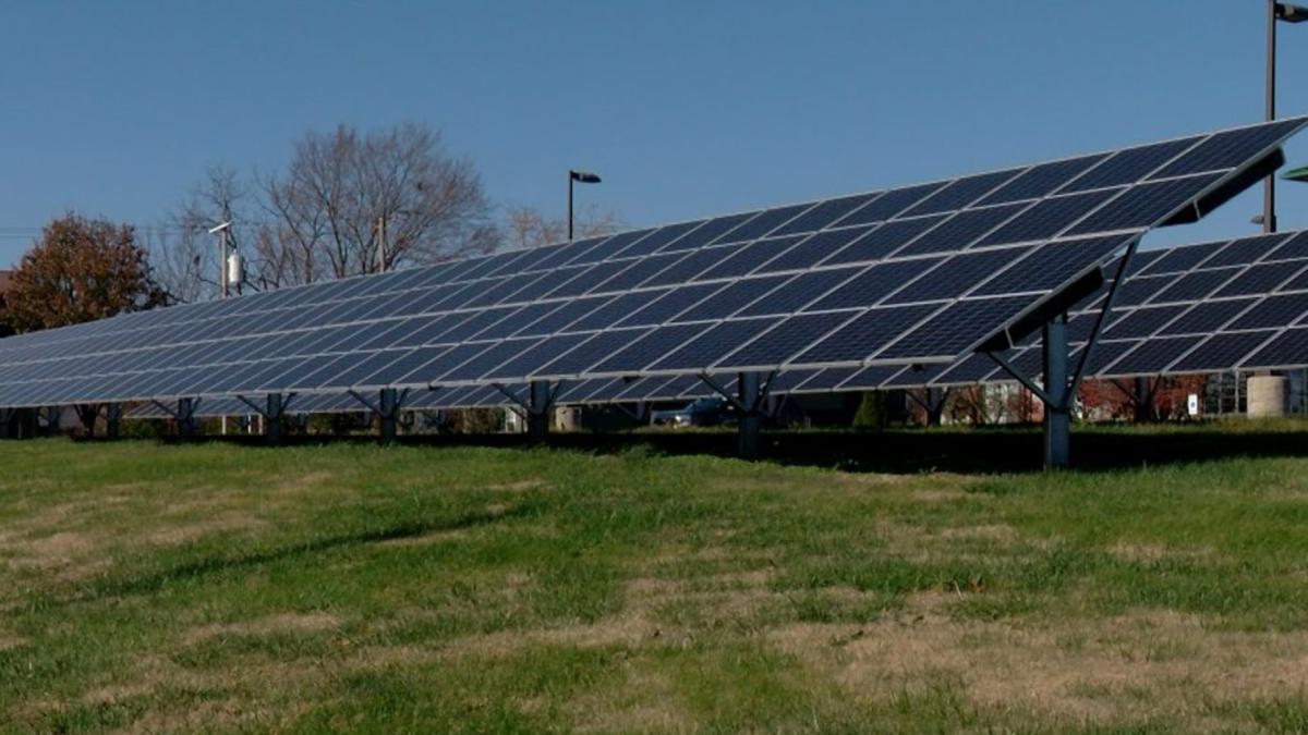 A solar farm in Carbondale, Illinois, in late 2024. (Andrew Campbell / Capitol News Illinois)