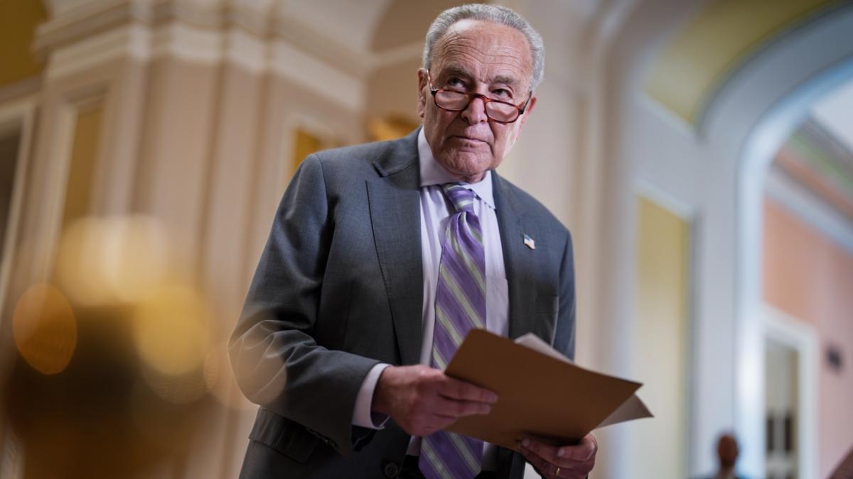 Senate Minority Leader Chuck Schumer, D-N.Y., looks over notes as Senate Republicans work to cancel $9.4 billion in previously approved spending targeted by DOGE, at the Capitol in Washington, Tuesday, July 15, 2025. (AP Photo / J. Scott Applewhite)