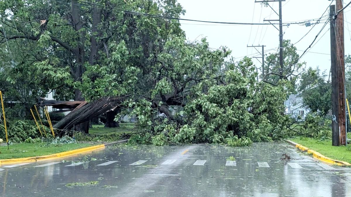 Downed trees and power lines blocked main roads in Crete, where thousands remained without power on Wednesday. (Village of Crete)