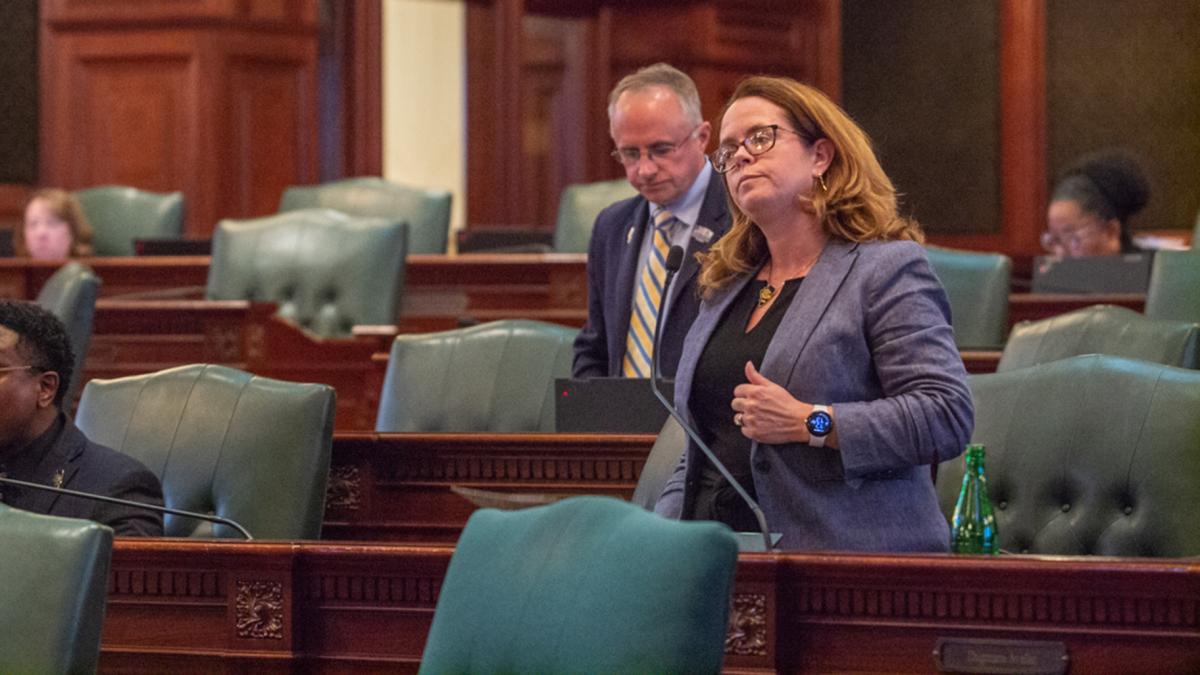 Rep. Maura Hirschauer, D-Batavia, speaks on the House floor on Thursday, May 22, 2025. (Jerry Nowicki / Capitol News Illinois)