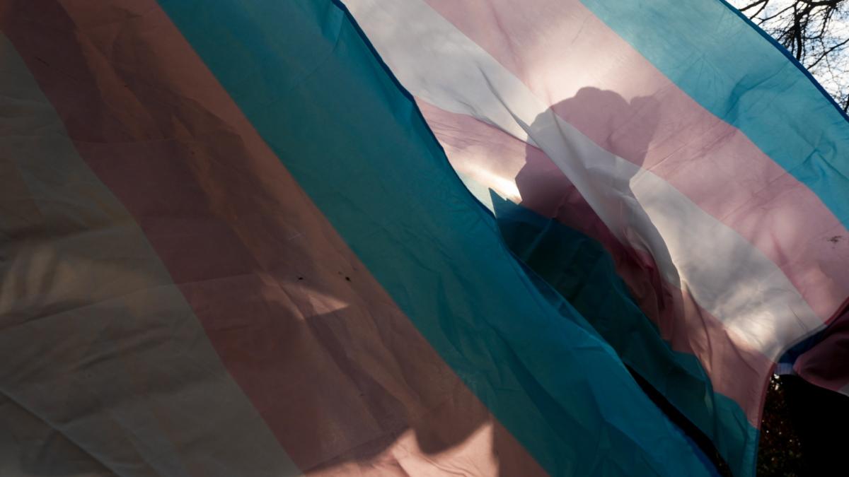 A protester is silhouetted against a trans pride flag during a pro-transgender rights protest outside of Seattle Children's Hospital, Feb. 9, 2025, in Seattle. (AP Photo / Lindsey Wasson, file)