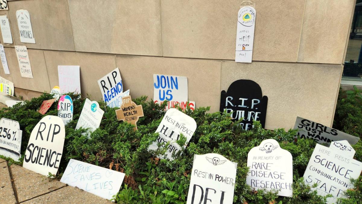 This photo obtained by The Associated Press shows cardboard tombstones symbolizing canceled research grants at the NIH Visitors Center in Bethesda, Md., Saturday, on June 7, 2025. (AP Photo)