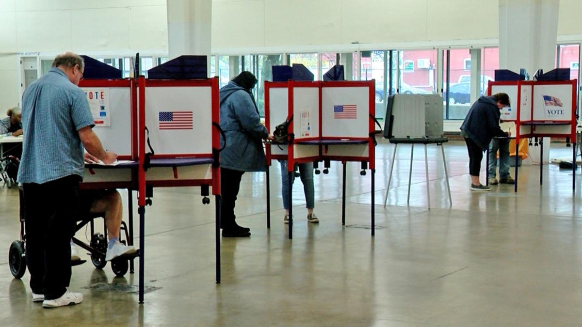 Voters cast their ballots in Springfield during the 2024 general election in November. (Andrew Campbell / Capitol News Illinois)