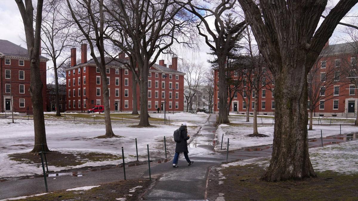 A pedestrian walks through Harvard Yard at Harvard University on Feb. 26, 2025, in Cambridge, Mass. (Charles Krupa/AP via CNN Newsource)