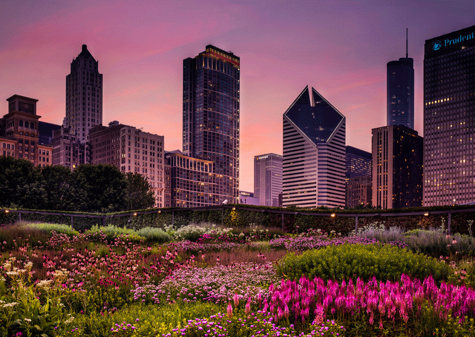 An image of Lurie Garden took top prize in the Royal Horticultural Society's 2020 photo competition. (Helen McLain / Royal Horticultural Society)