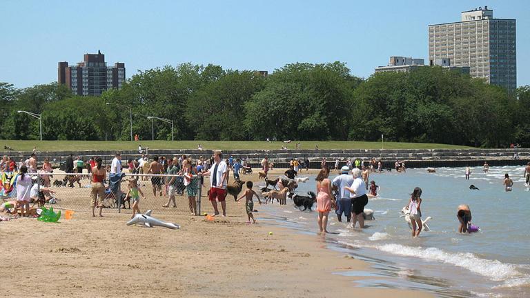Montrose Avenue Dog Beach (TonyTheTiger / Wikimedia Commons)