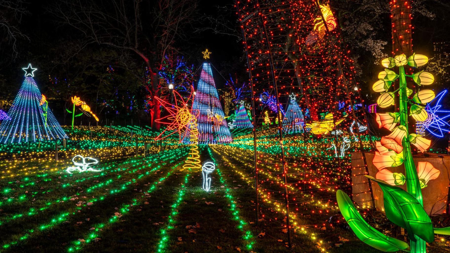 Zoolights. (Brandon Tucker / Lincoln Park Zoo)