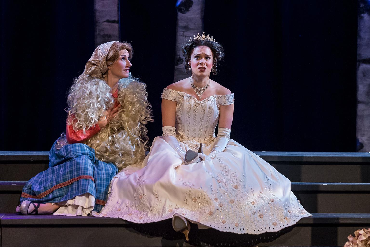 Cinderella into the Woods Dress