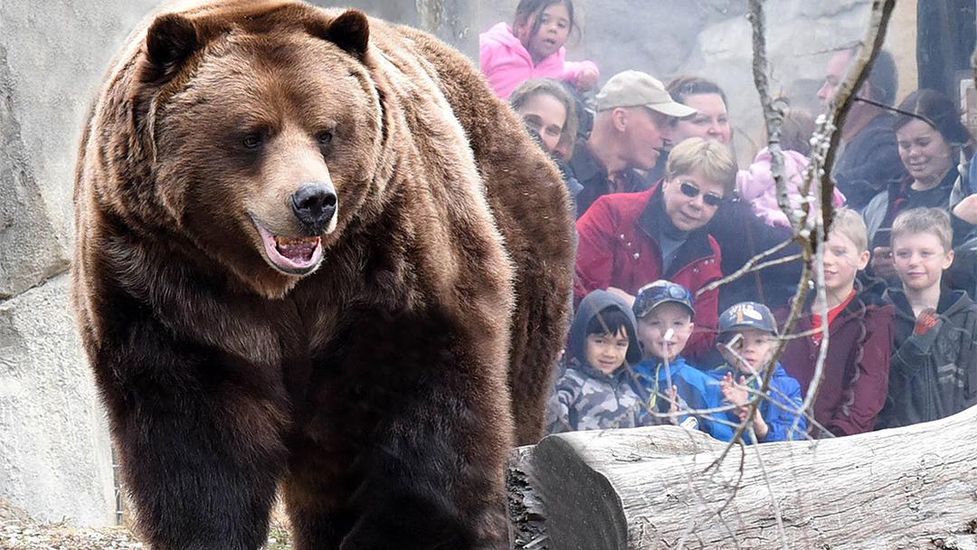 Brookfield Zoo