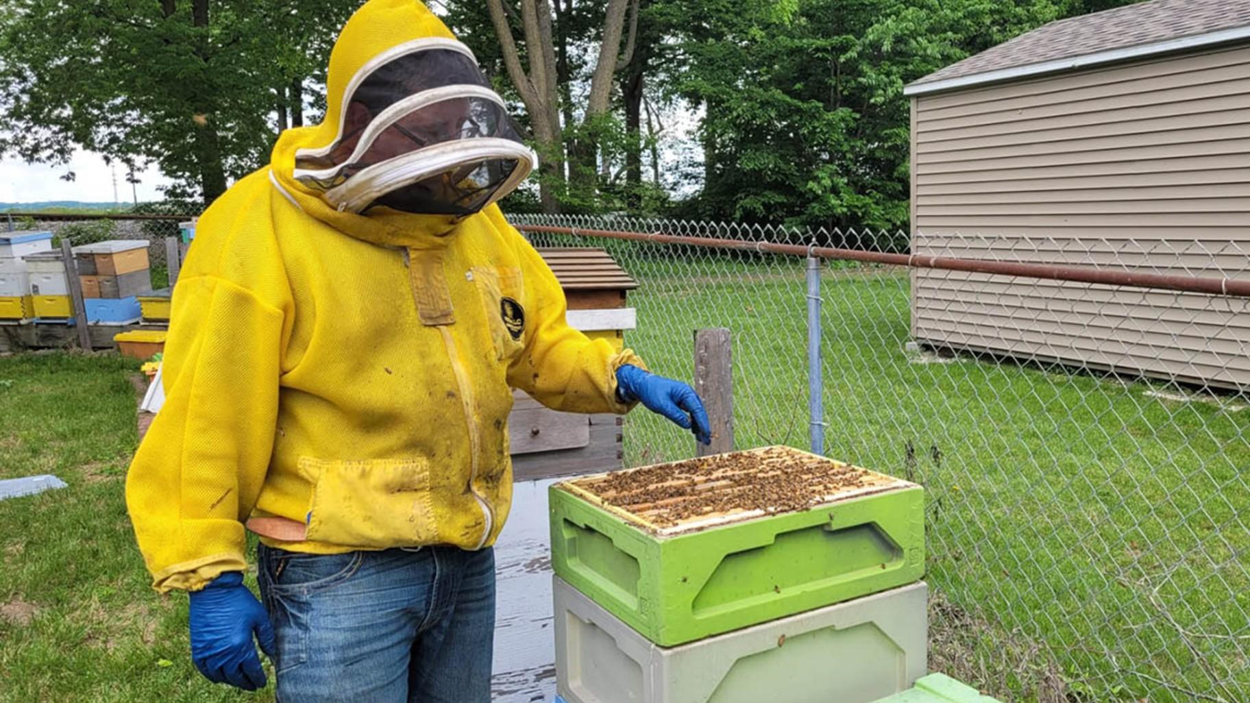 Luke Harvey, owner of the Riverview Road Apiary near Peoria, gives a tour of his hives. (Tom O’Connor / Medill Illinois News Bureau)