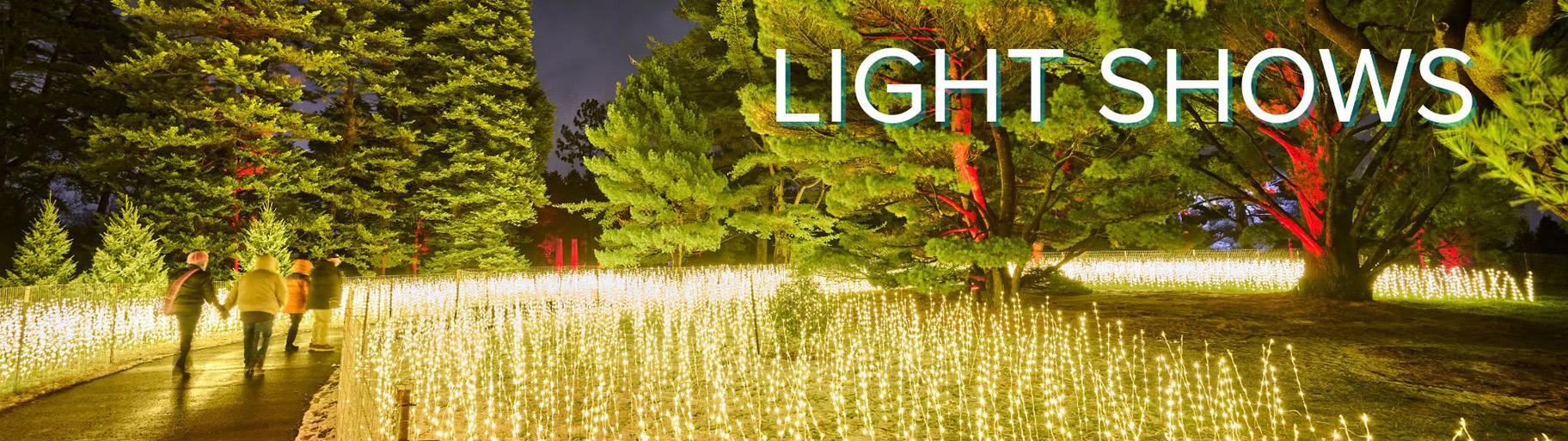 Illumination: Tree Lights at the Morton Arboretum. (Courtesy of the Morton Arboretum)