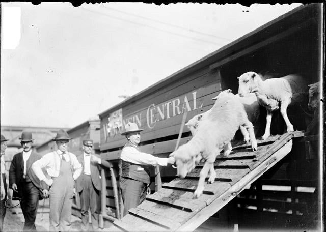 Chicago Daily News Photos Courtesy of the Chicago History Museum