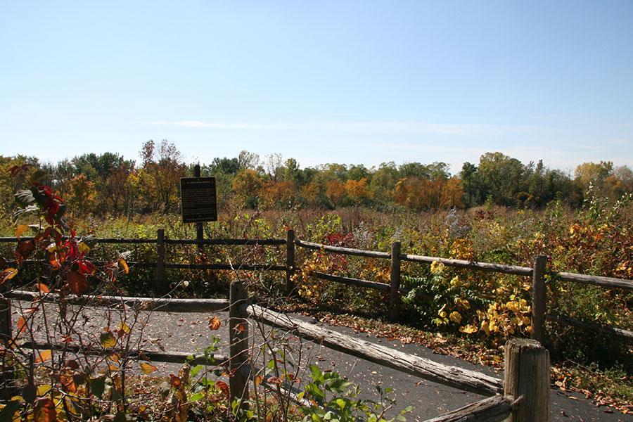 Lyman Woods in Downers Grove (Courtesy Downers Grove Park District)