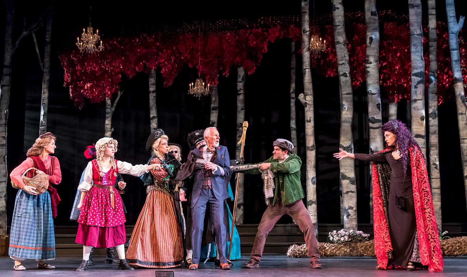 Cast of Music Theater Works’ “Into the Woods” at Cahn Auditorium in Evanston. (Photo credit: Brett Beiner)