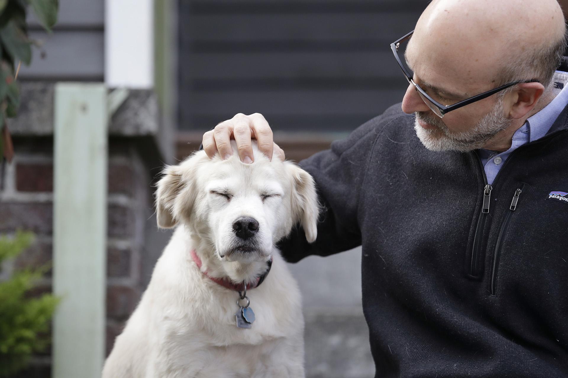 Old Dogs, New Tricks 10,000 Pets Needed for Science Chicago News WTTW