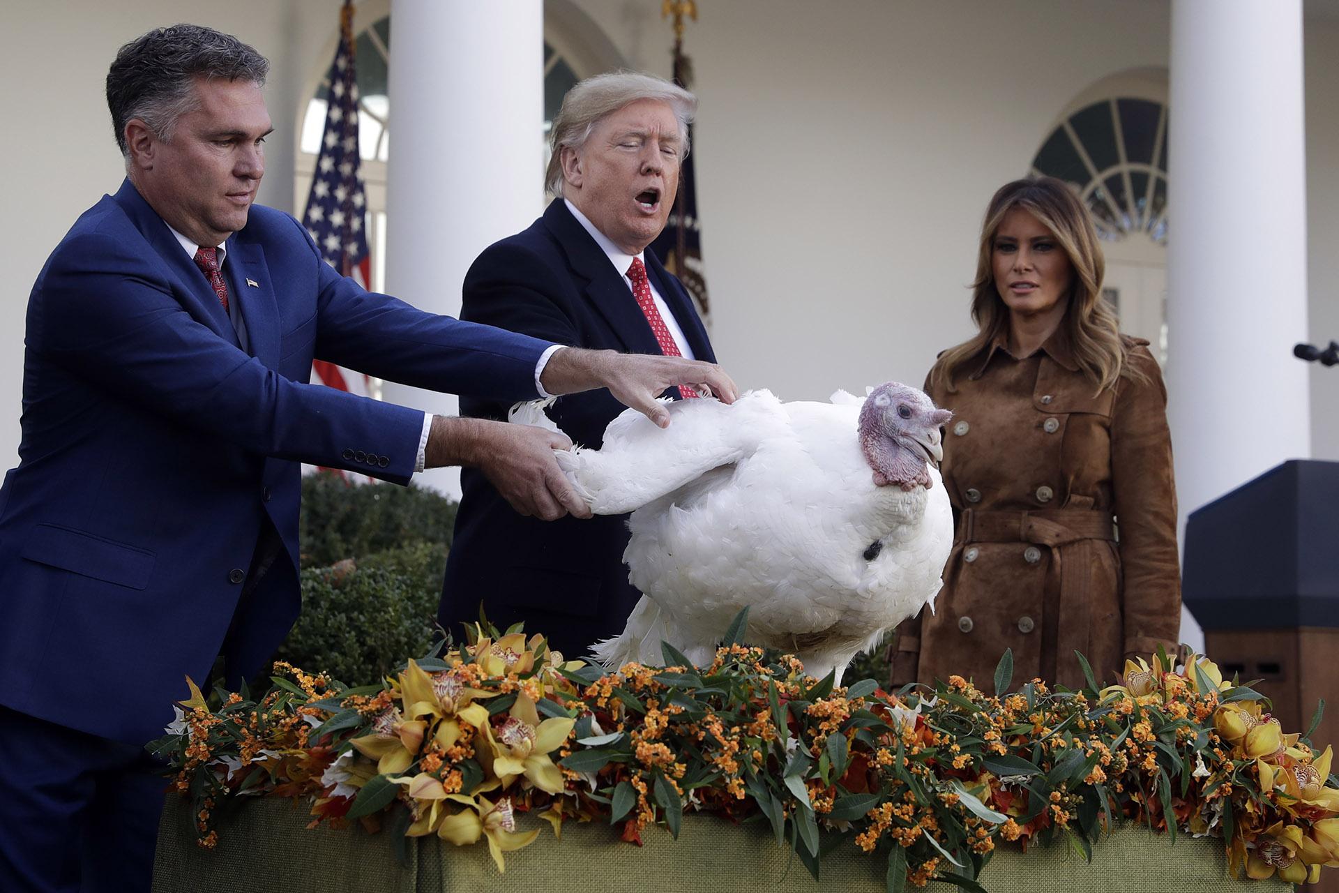 President Donald Trump pardons Butter, the national Thanksgiving turkey, in the Rose Garden of the White House, Tuesday, Nov. 26, 2019, in Washington, as first lady Melania Trump watches. (AP Photo/ Evan Vucci)