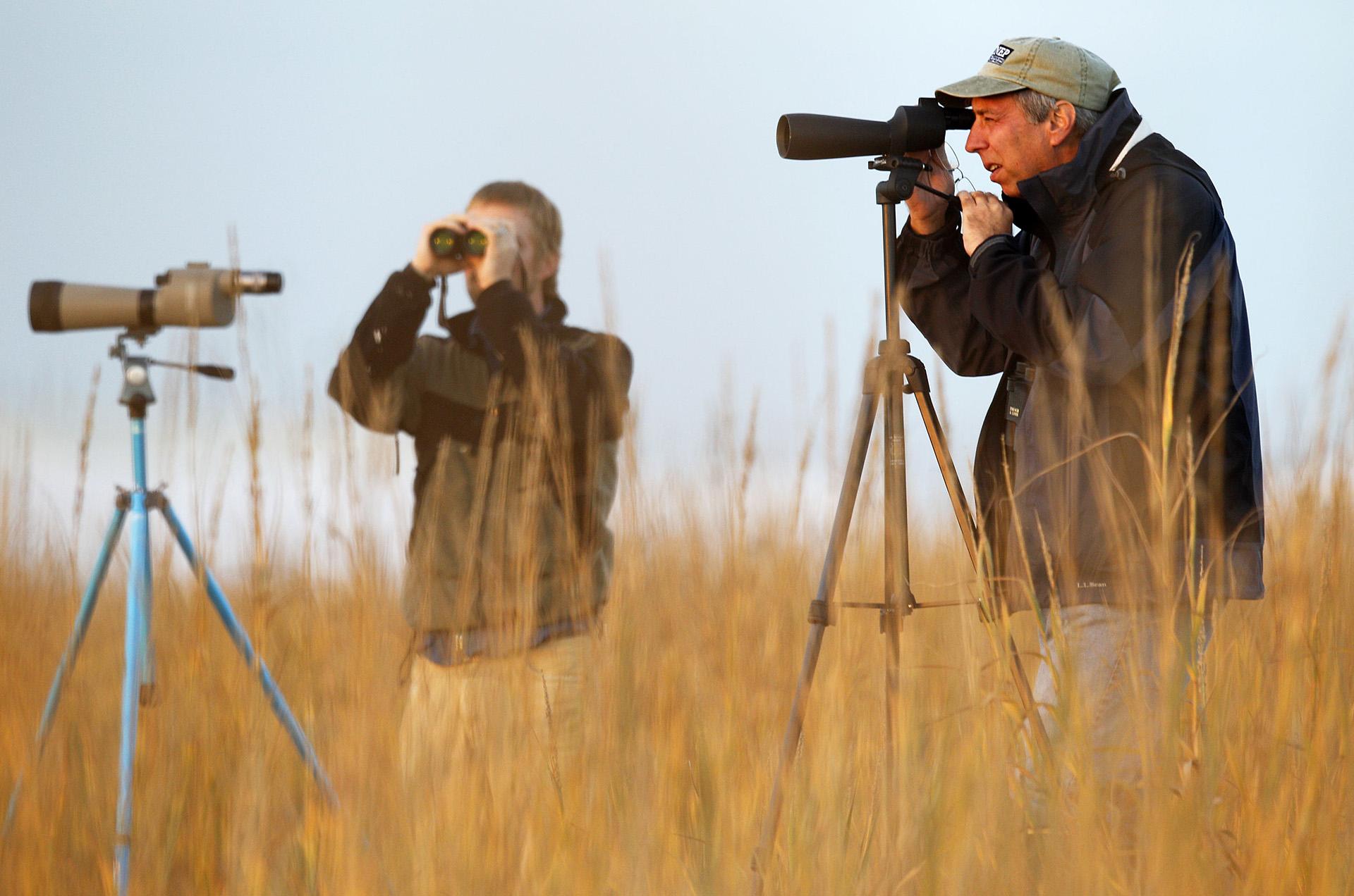 In this Dec. 22, 2010, file photo, Chris Brantley, right, of Mandiville, Louisiana, and Hans Holbrook, of LaPlace, Louisiana, look though monoculars for birds during the National Audubon Society’s annual Christmas bird count on the Gulf Coast in Grand Isle, Louisiana. (AP Photo / Sean Gardner, File)