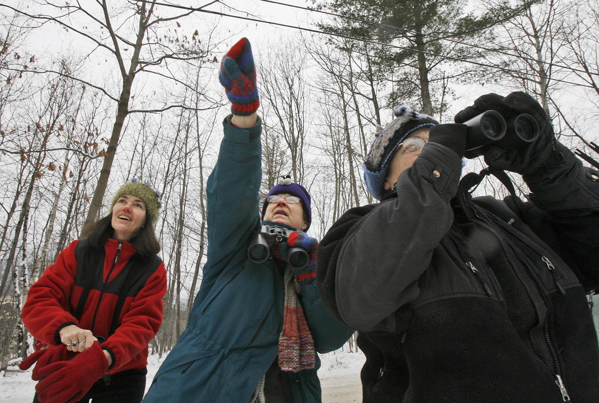  In this Dec. 19, 2008, file photo, Jeannie Elias, left, Mary Spencer, and Alison Wagner look for birds in Fayston, Vermont, as they take part in The National Audubon Society’s annual Christmas Bird Count. (AP Photo / Toby Talbot, File)