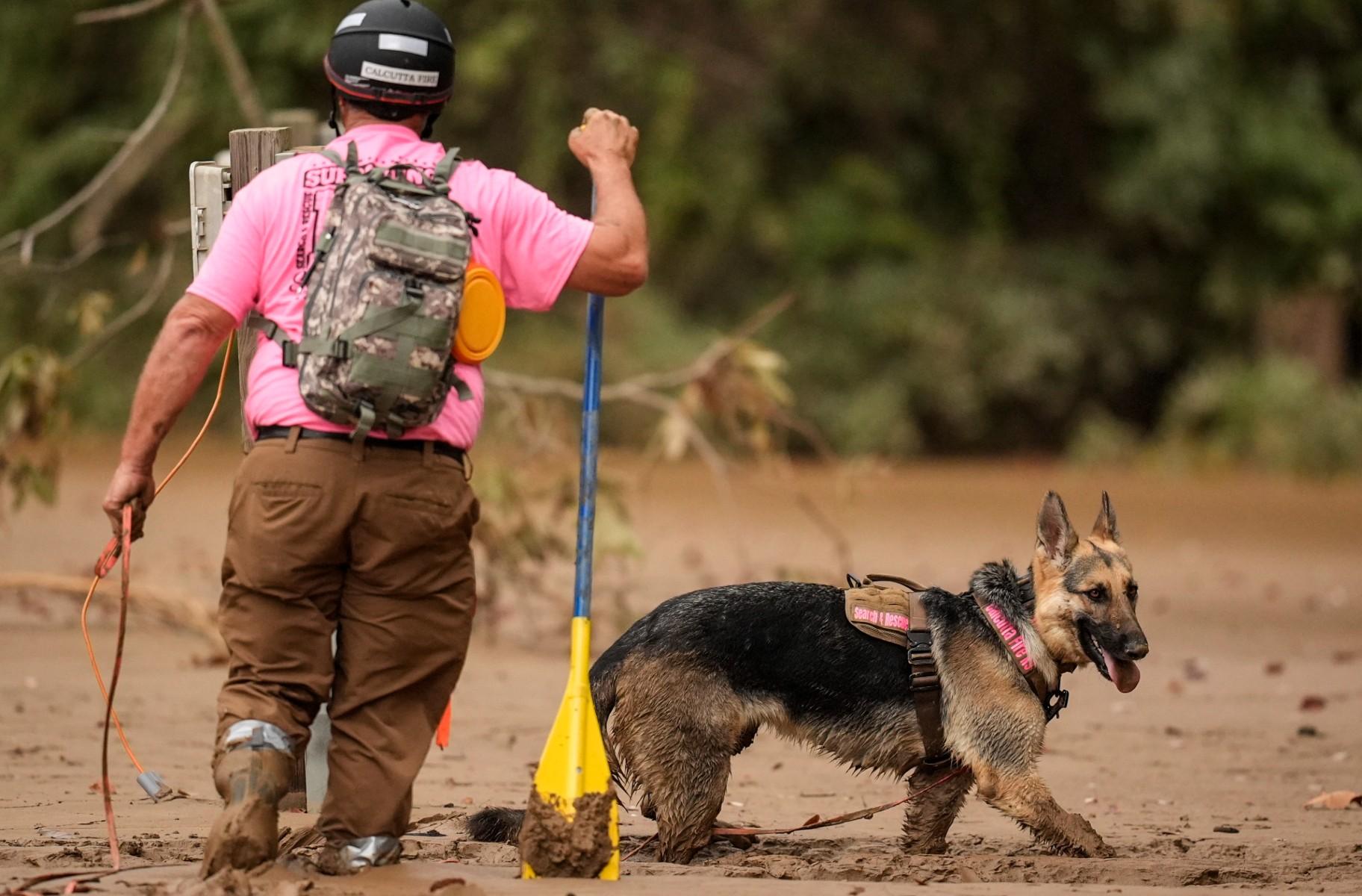 A search and rescue dog and handler searches for victims in deep mud in the aftermath of Hurricane Helene, Tuesday, Oct. 1, 2024, in Swannanoa, N.C. (AP Photo / Mike Stewart)