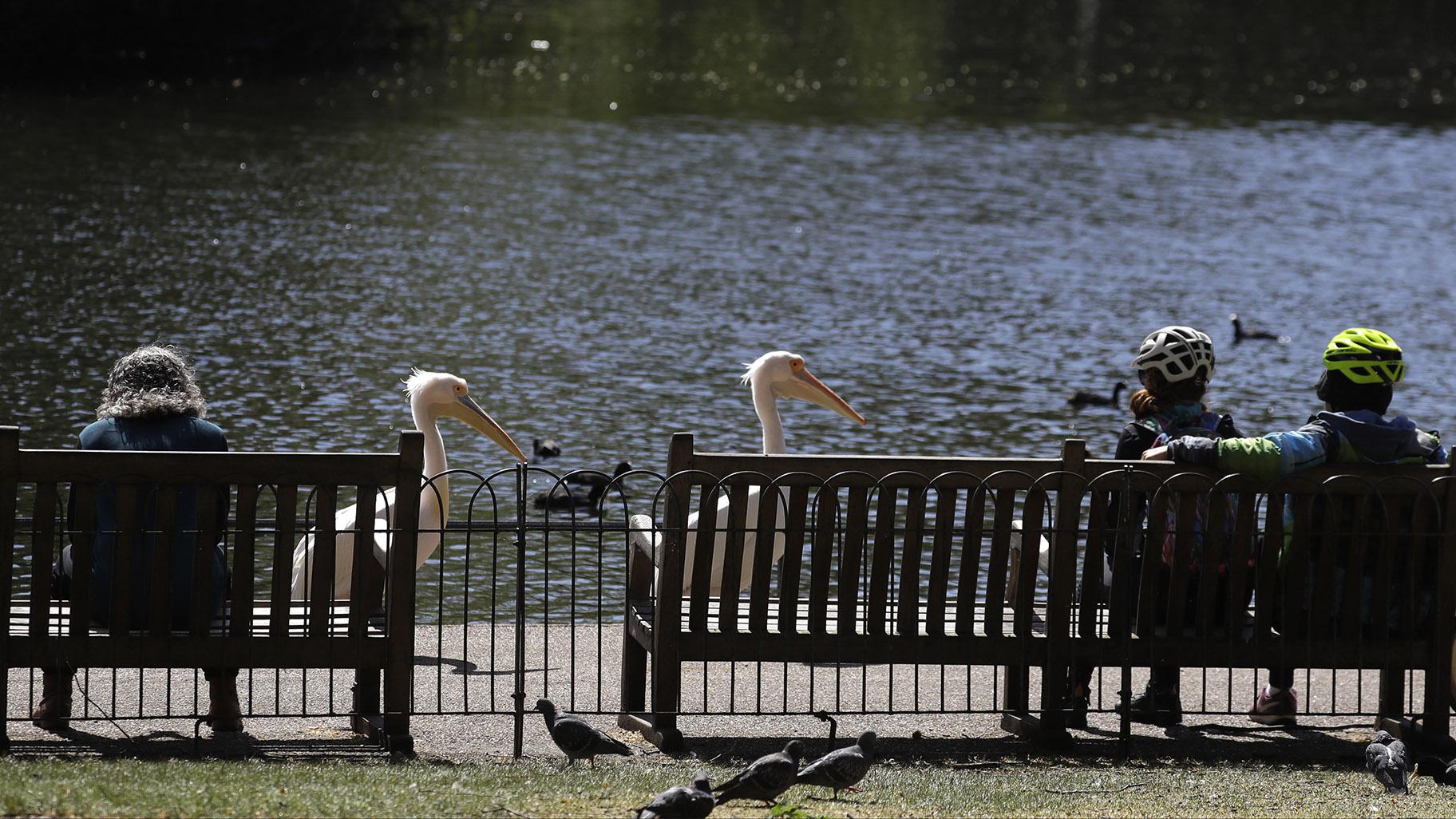 People sit on benches obeying the social distancing in St James’s Park in London, as the country continues in lockdown to help curb the spread of the coronavirus, Sunday, April 19, 2020. (AP Photo / Kirsty Wigglesworth)