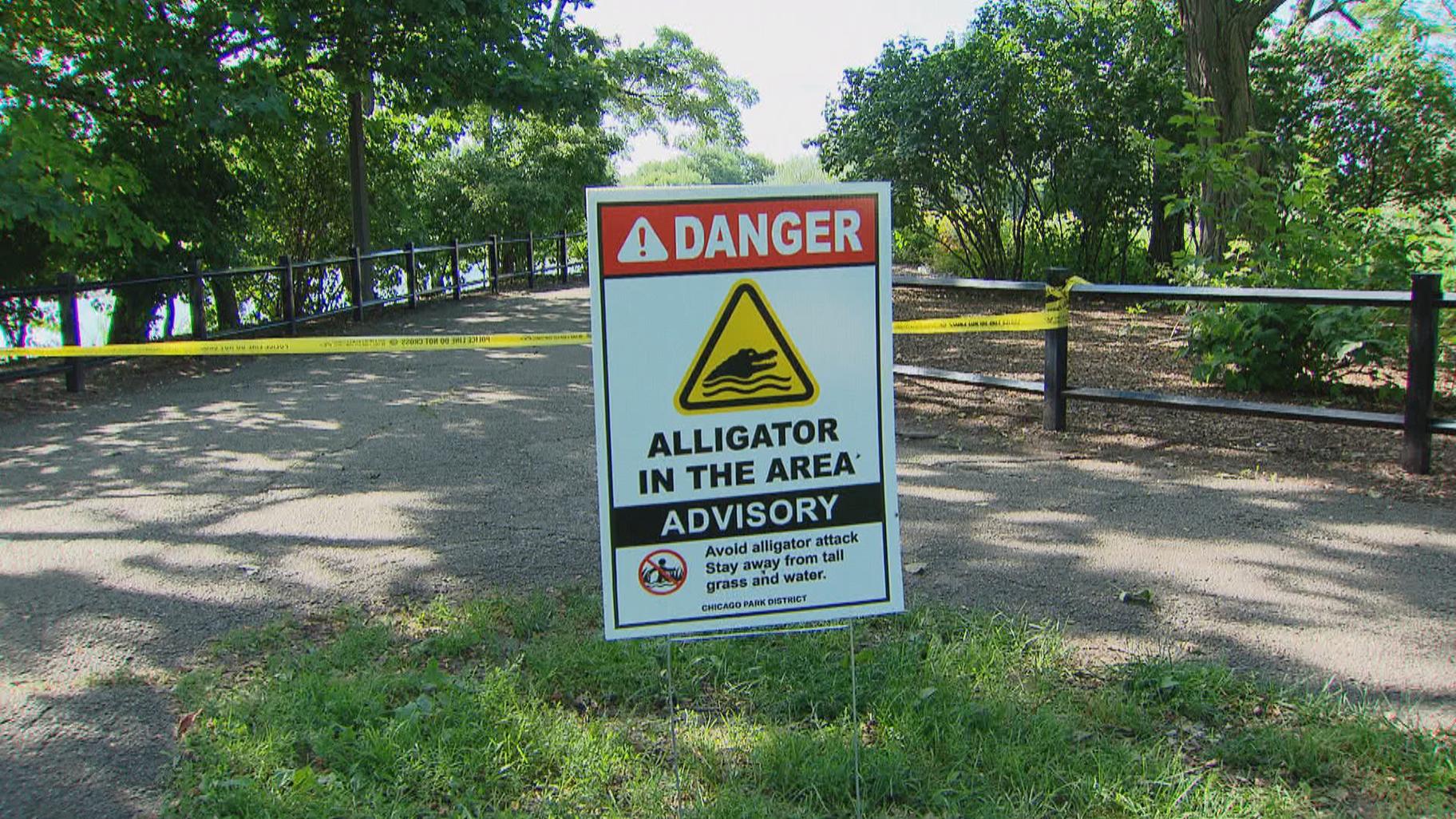 Un cartello a Humboldt Park avverte i visitatori dell'alligatore scoperto nella laguna del parco. (WTTW News)