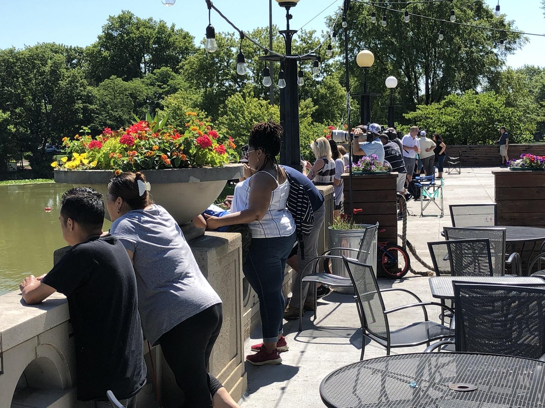 Onlookers try to spot the alligator that was identified earlier this week in the Humboldt Park Lagoon. (Alex Ruppenthal / WTTW News)