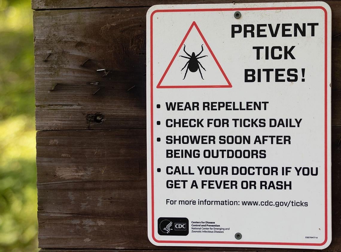 A sign warns hikers about tick bites in Giant City State Park in Jackson County. (Riley Sembler)