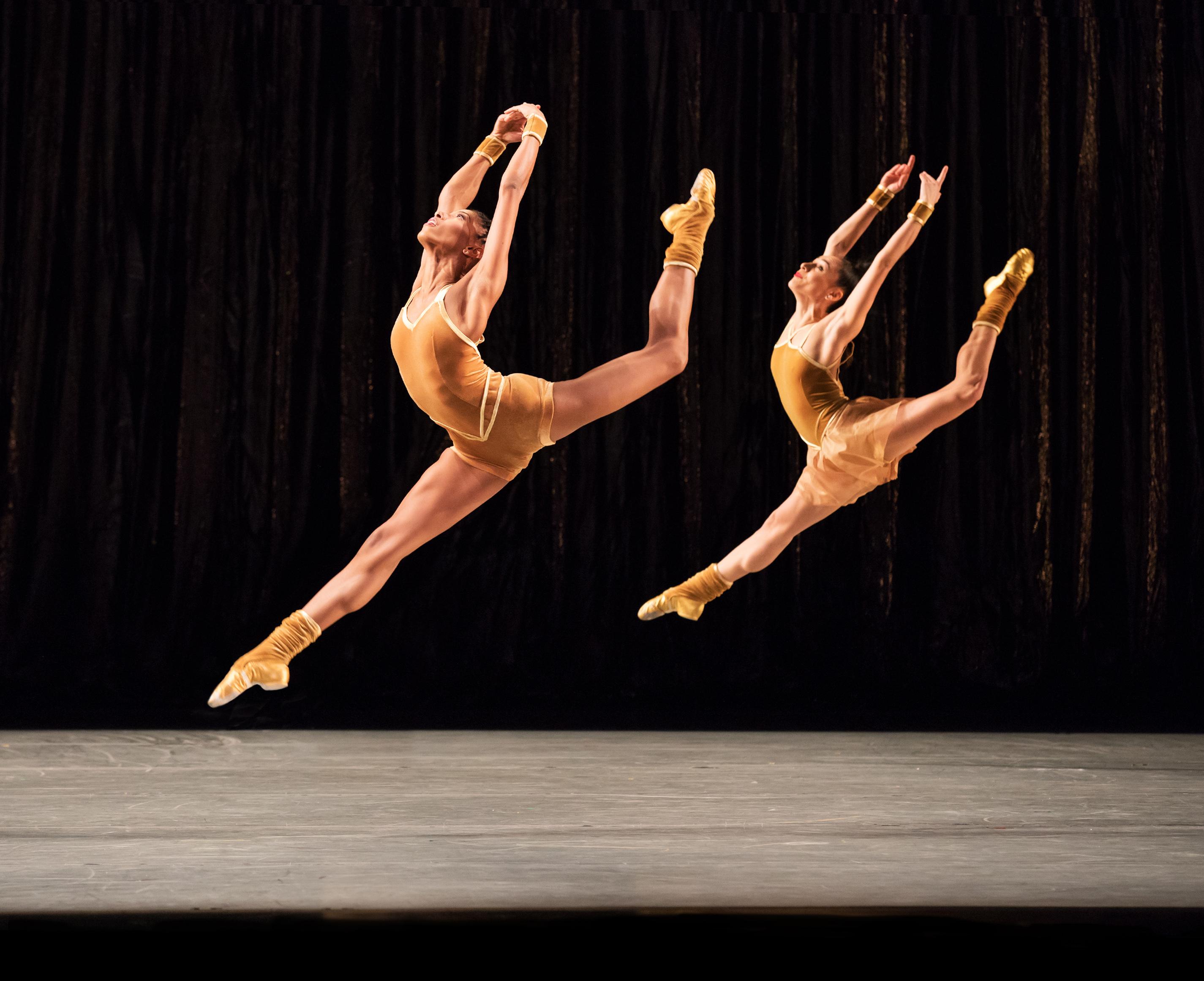 The Company  Alvin Ailey American Dance Theater