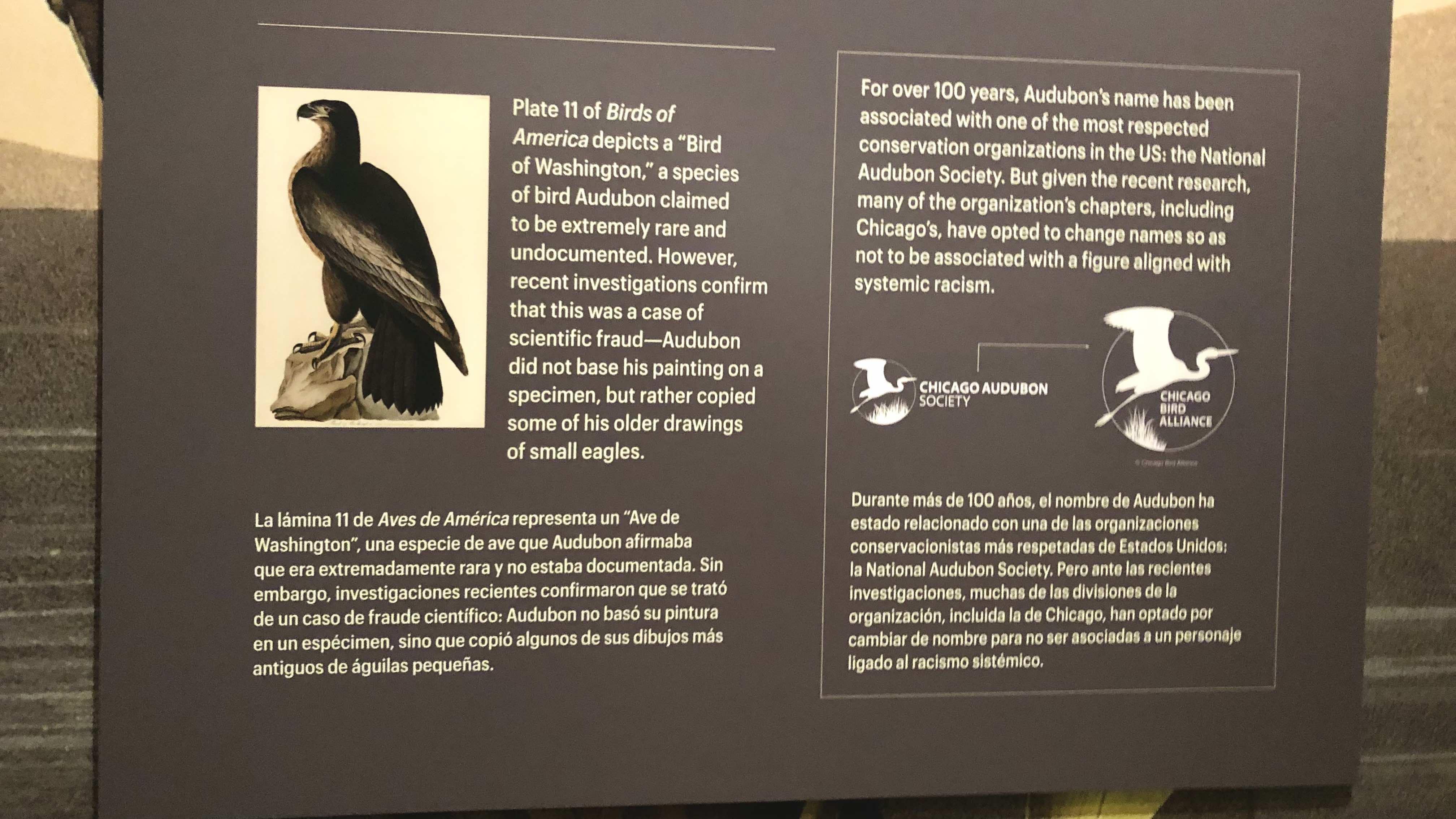 Text panels accompanying the Field’s exhibit don’t shy away from John J. Audubon’s flaws. (Patty Wetli / WTTW News)