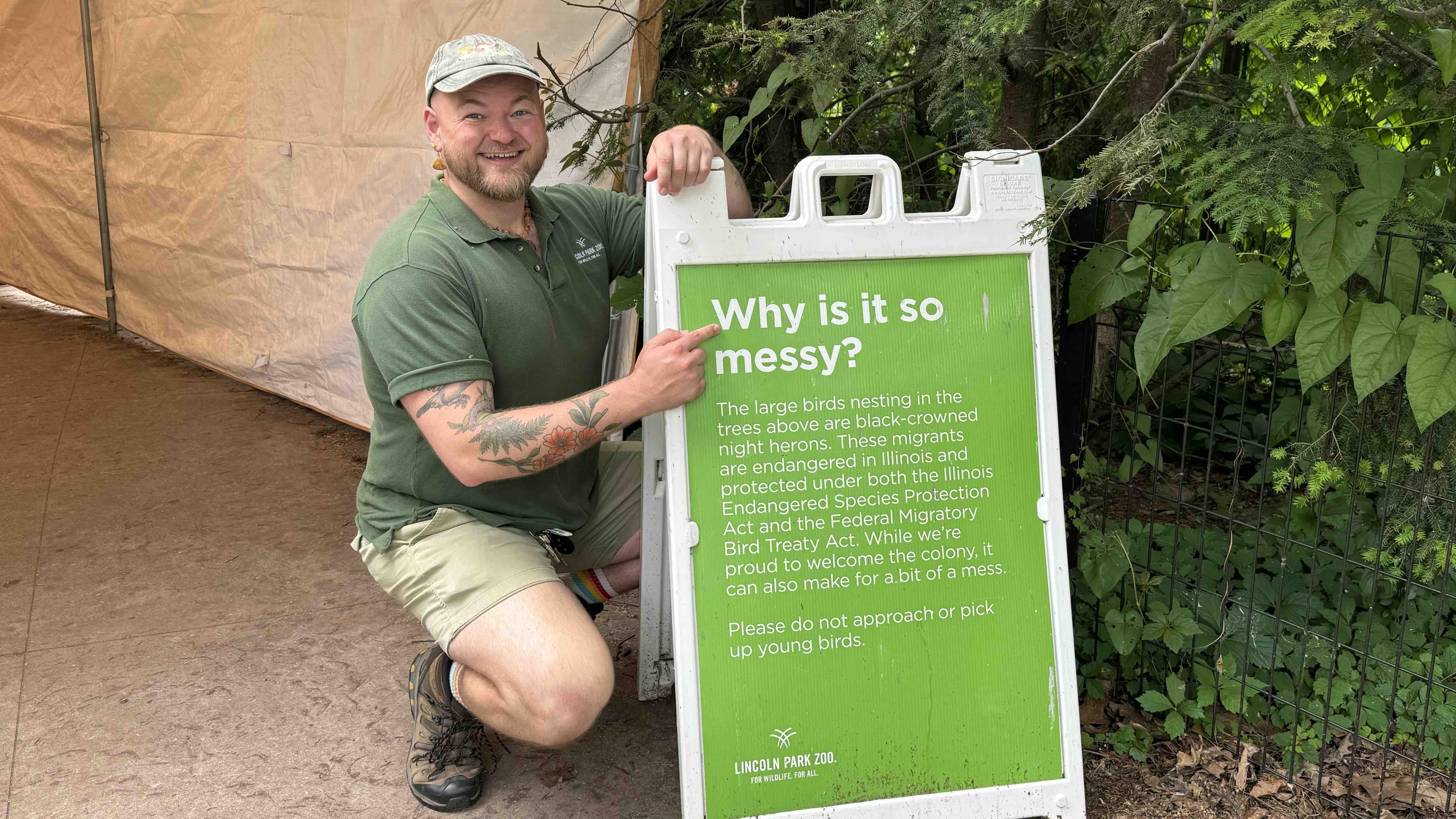 Having the night heron colony at the zoo gives ecologist Henry Adams plenty of opportunities for research and to share conservation information with visitors. (Patty Wetli / WTTW News)