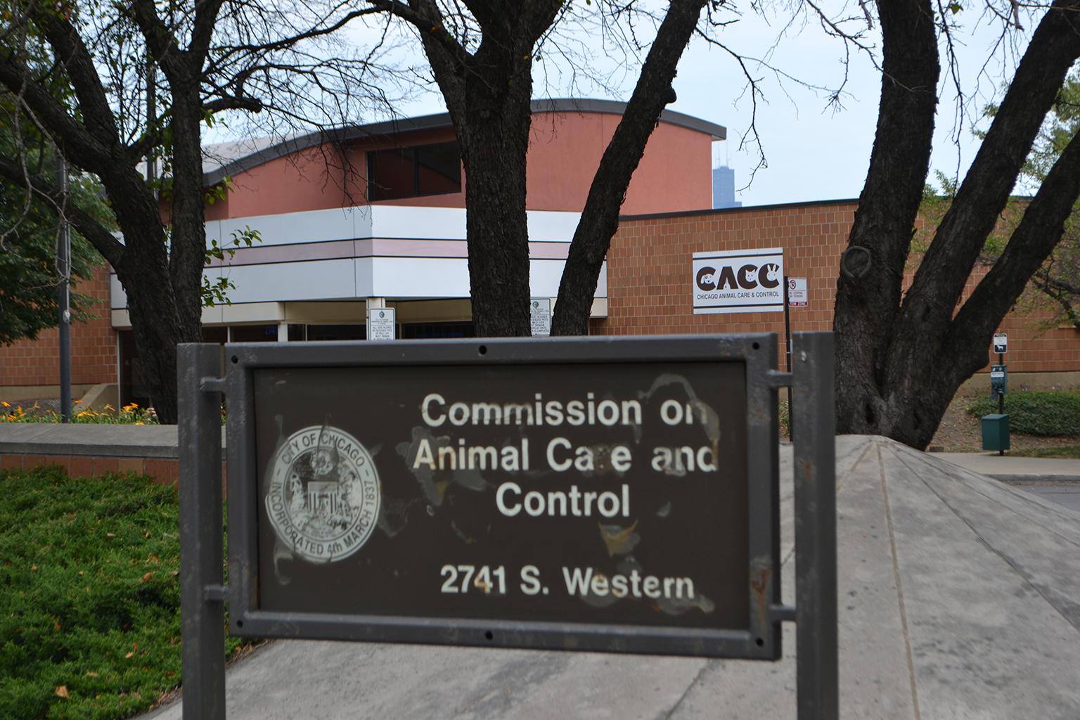 Chicago Animal Care and Control, 2741 S. Western Ave. (Alex Ruppenthal / Chicago Tonight)