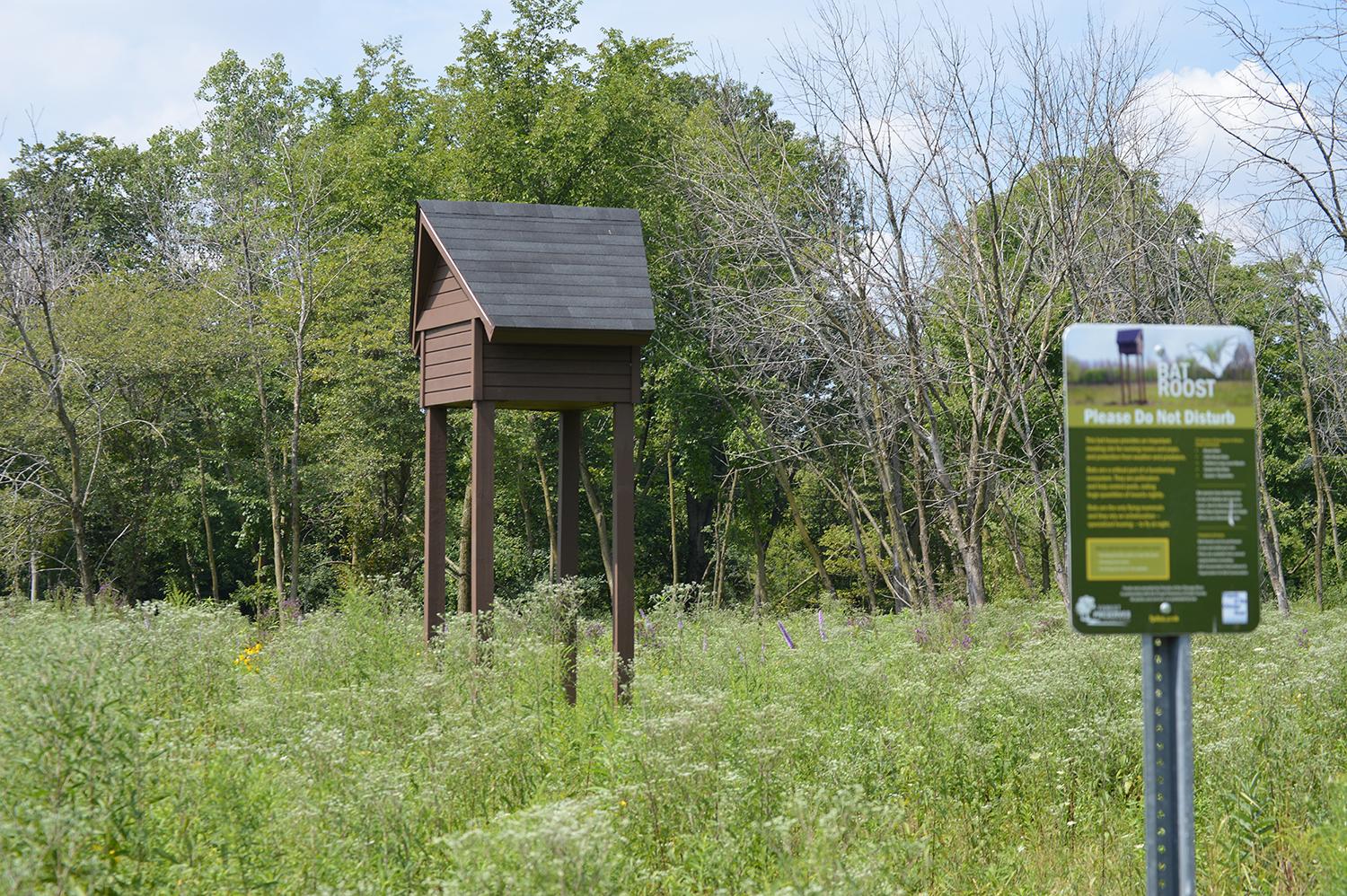 Conservationists have installed five bat houses in Cook County since 2016 to provide safe maternity colonies where female bats can give birth and nurse their pups. (Courtesy Friends of the Chicago River)
