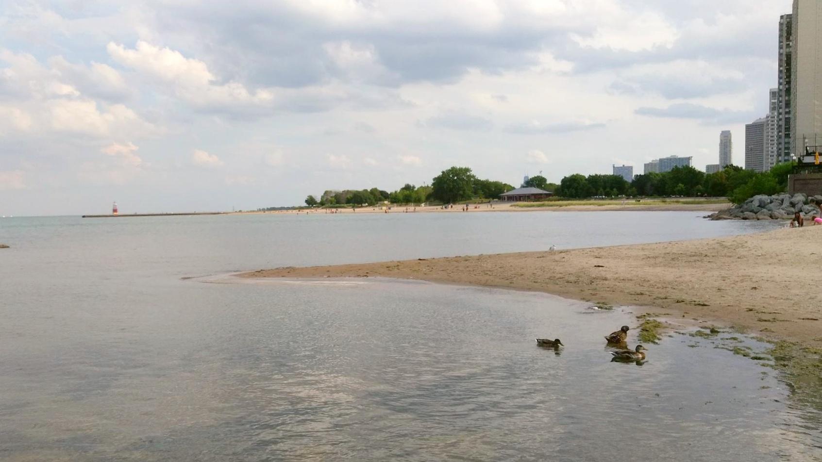 How Well Do You Know Chicago's Beaches?, Chicago News