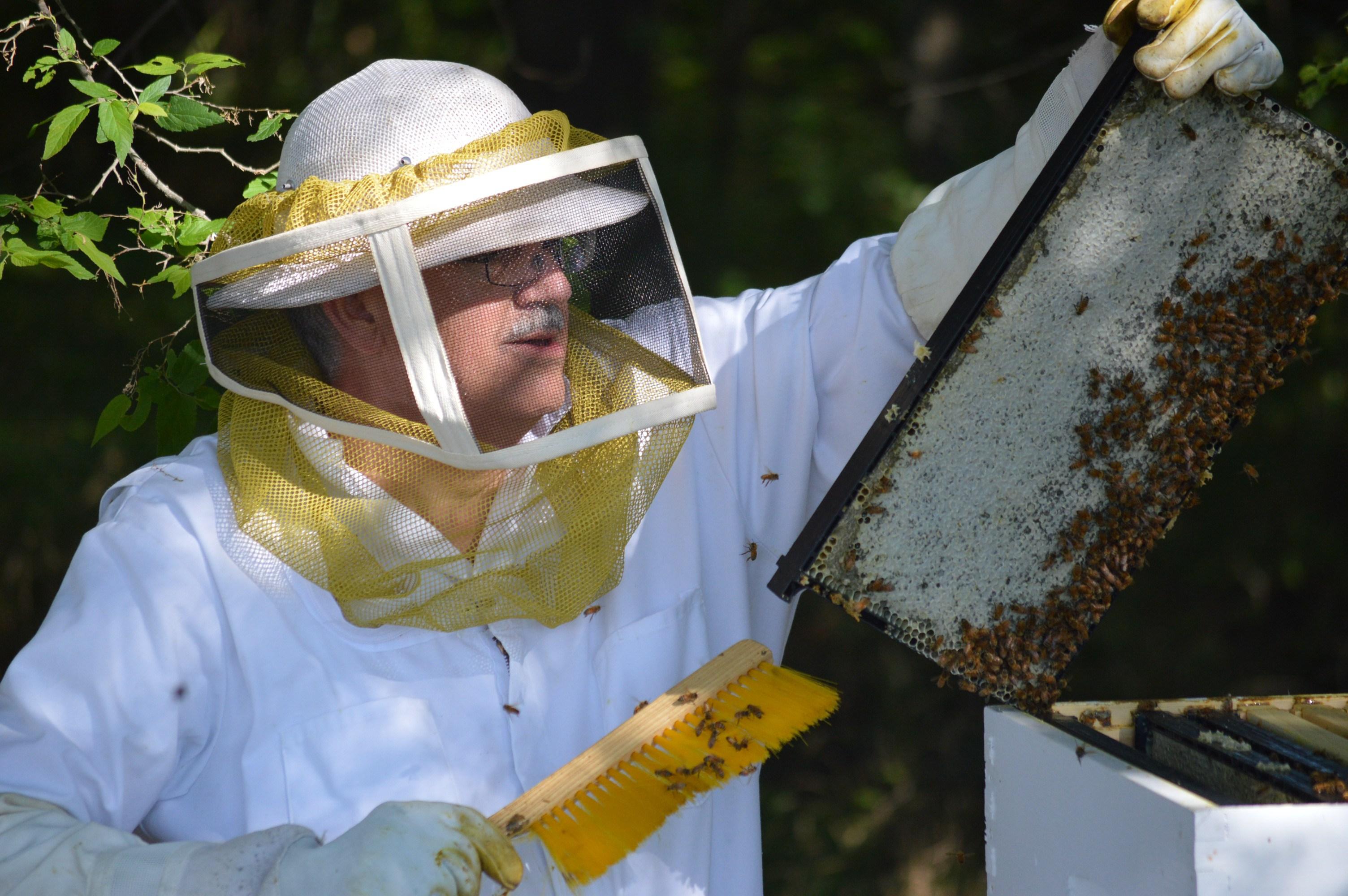 Beekeeper Steve House (Courtesy Midwest Master Beekeeper Program)