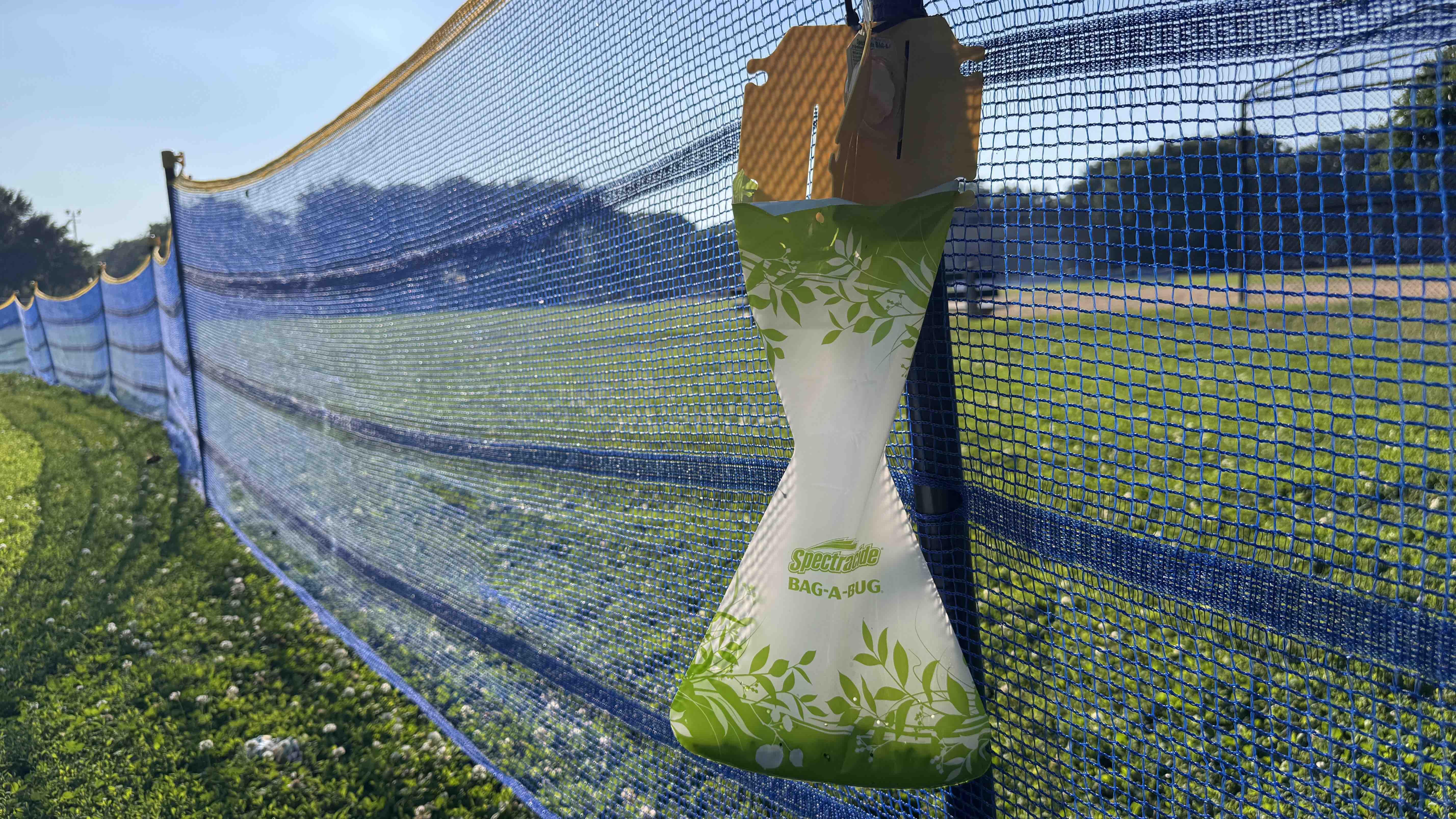 Pheromone traps, like these seen at Welles Park, mimic the chemicals released by female beetles to attract males. “If you can catch enough males, eggs won’t get fertilized,” said Christopher Dietrich, Illinois’ state entomologist. (Patty Wetli / WTTW News)