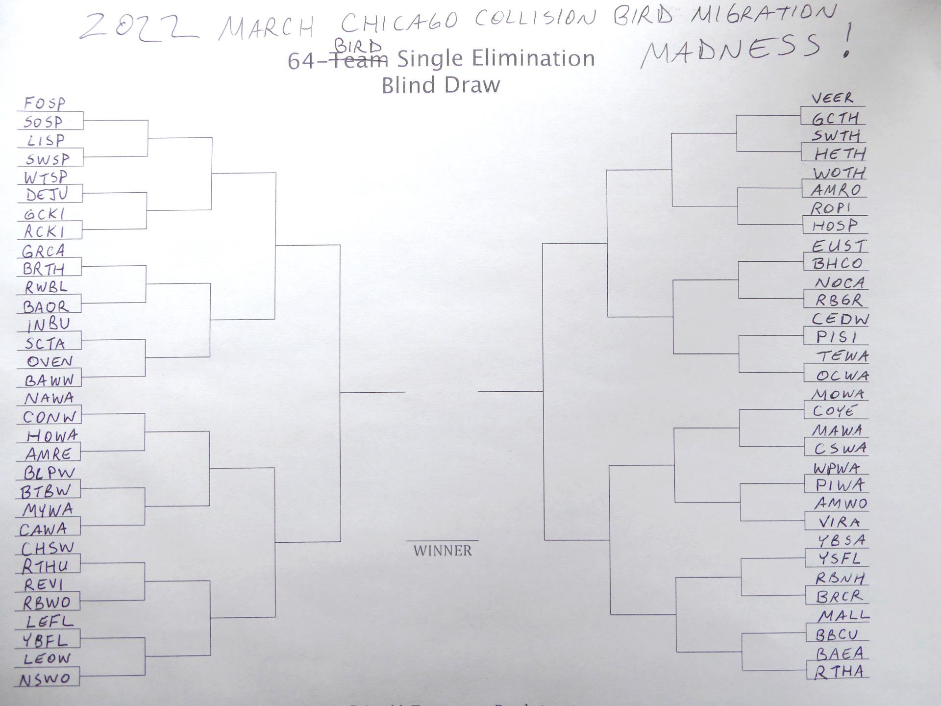 The Chicago Collision Bird Migration Madness bracket. Creator Robyn Detterline used birds' four-letter banding codes —FOSP is fox sparrow, for example — when creating the matchups. (Robyn Detterline / Twitter)