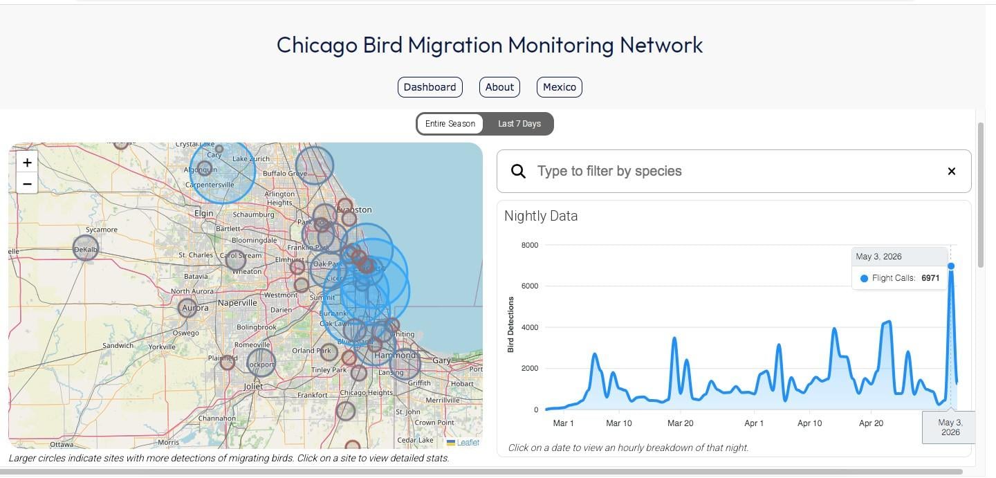 Information collected by acoustic monitors is fed into a publicly accessible online dashboard. (Chicago Bird Migration Monitoring Network)
