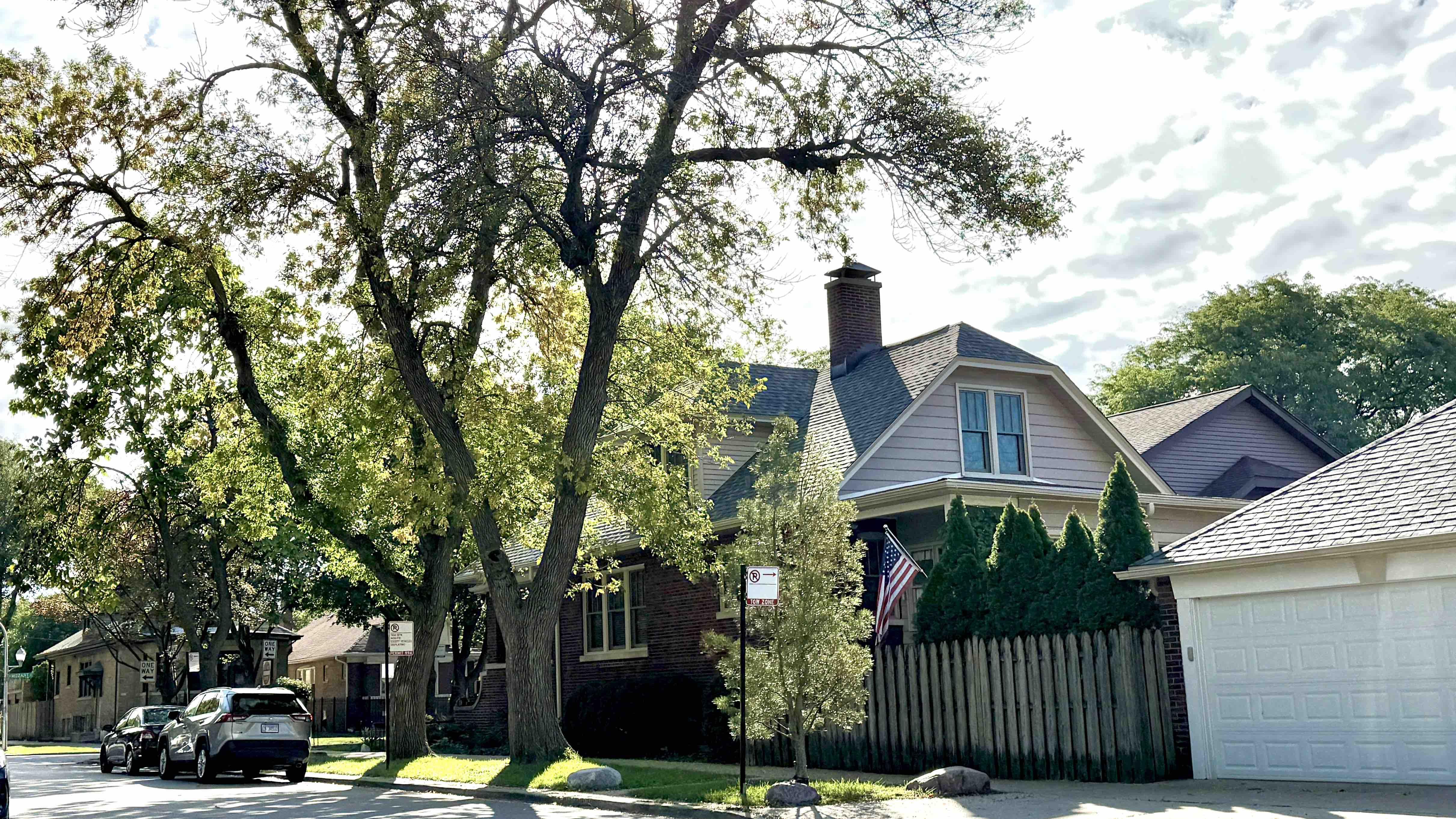 And then there were two. Four ash trees lined the parkway when Matt McDermott moved into his house in the late 1980s. One fell in the 1990s, crushing a car in the street, and one was removed this summer. (Patty Wetli / WTTW News)