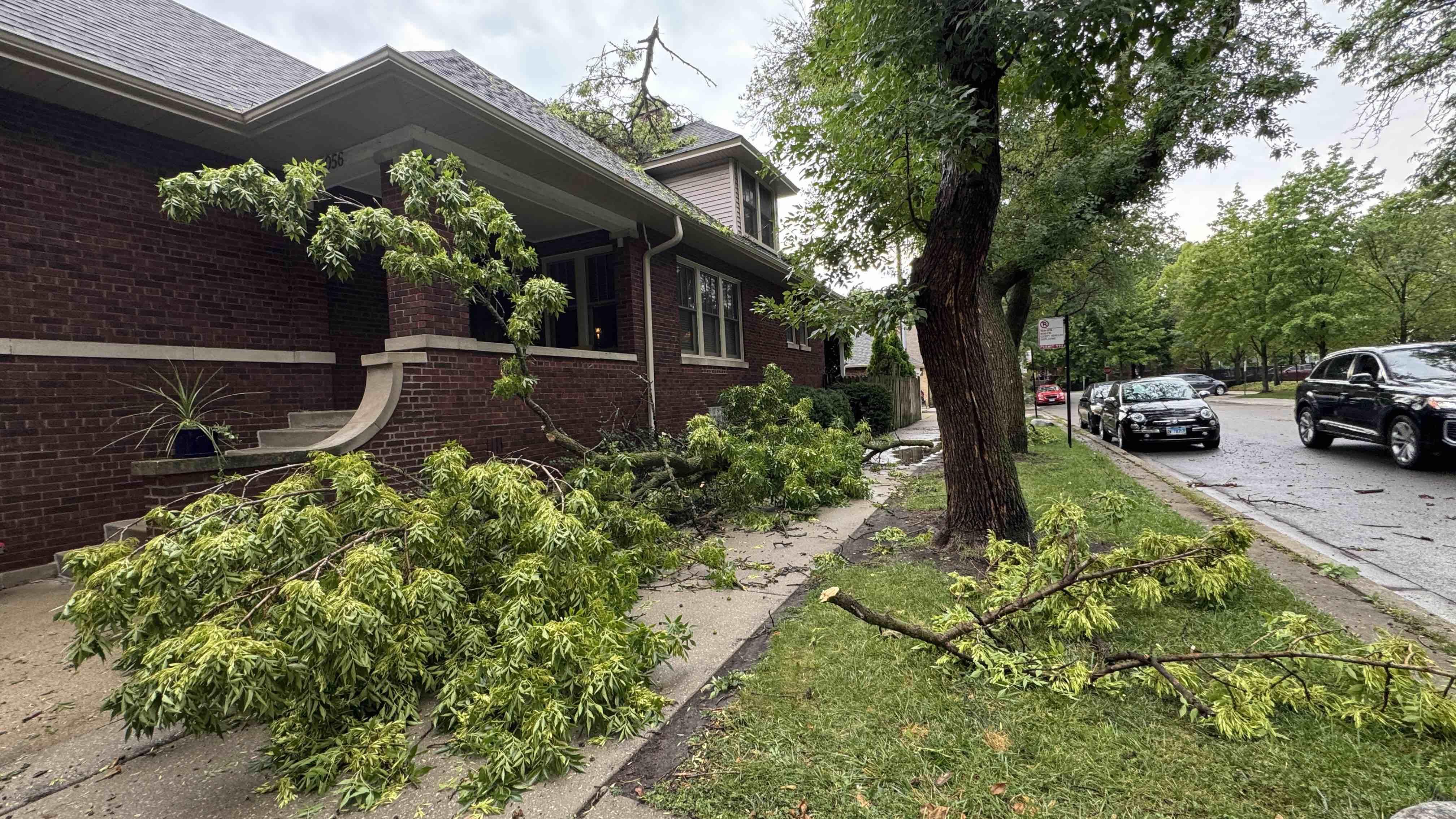 The McDermott-Wexelberg home, after the top of a parkway tree came crashing during storms on July 27, 2026, just a month after the couple had their roof replaced. You can see the lightning-struck ash tree in the foreground, before it was reduced to a stump. (Patty Wetli / WTTW News)