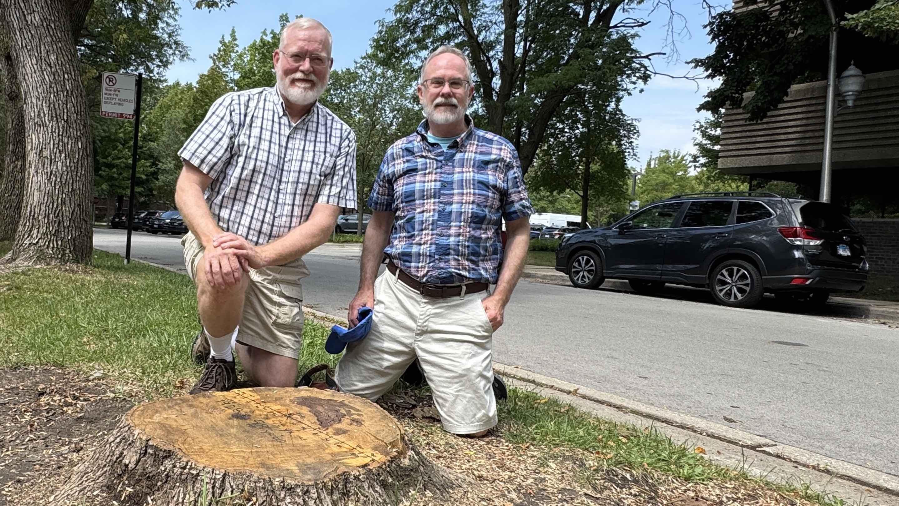 Bruce Wexelberg (left) and Matt McDermott are planning on requesting replacement parkway trees, but haven’t decided what kind they want. (Patty Wetli / WTTW News)